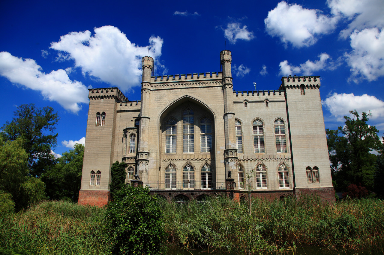 Kornik